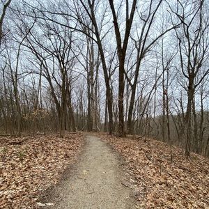 Meet your Posher, Kevan